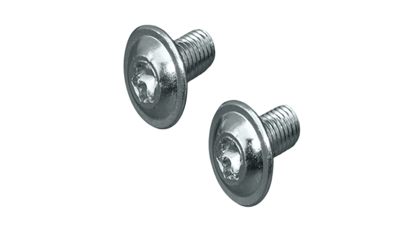 Rittal Machine Screw