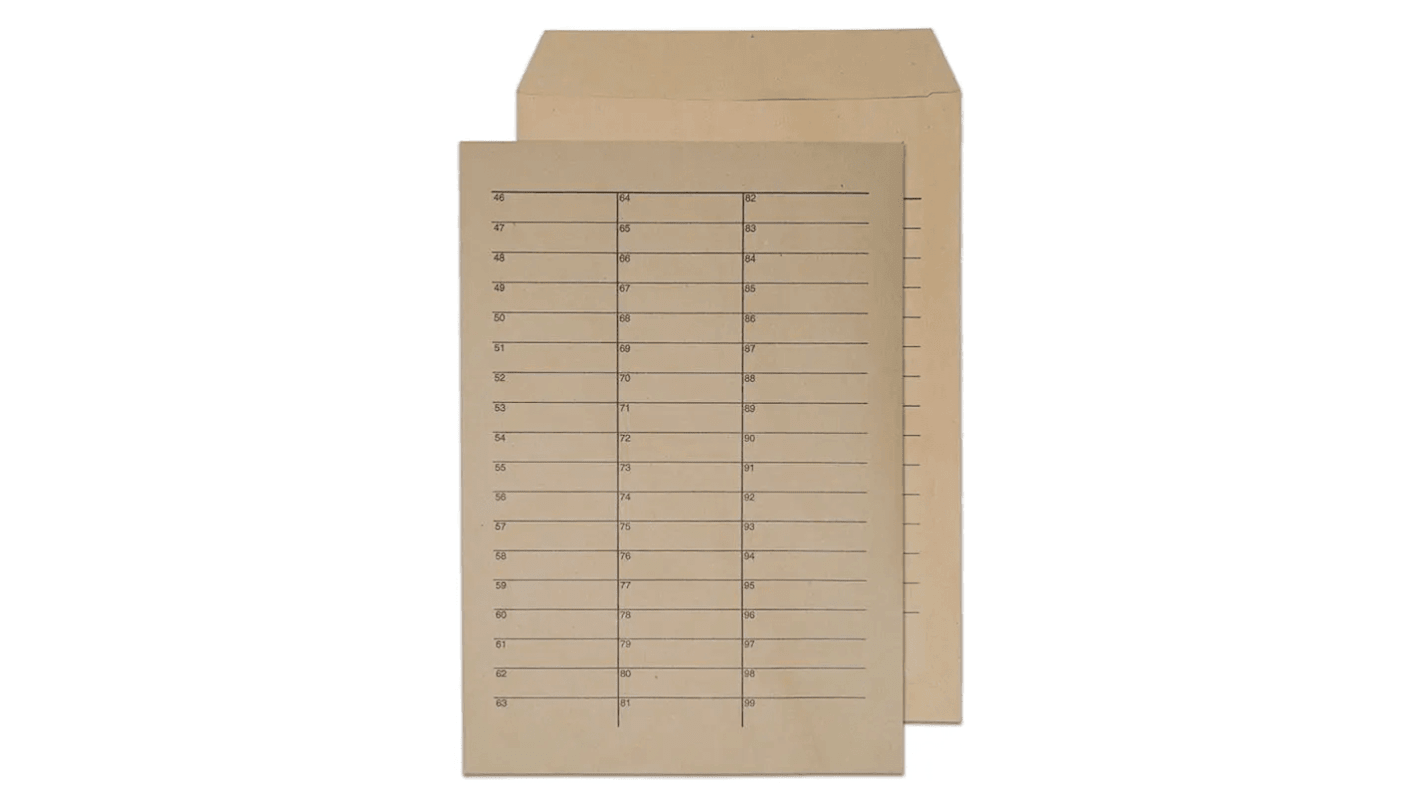 13941INT Manilla C4 No Tuck In Flap Internal Mail Envelope RS