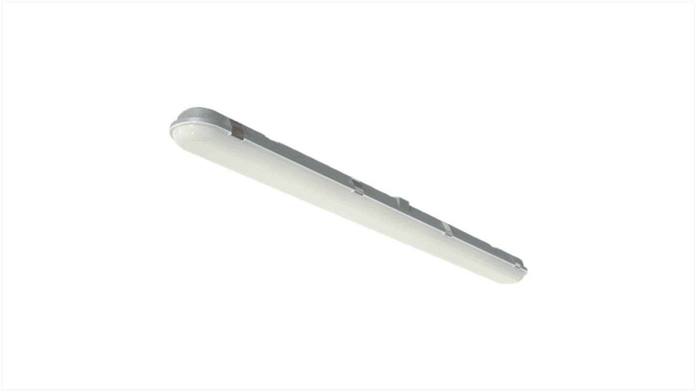 Luminaria lineal 4lite UK, Barra de LED, 240 V, 41 W, 1 tubo, LED, 1,2 m x 115 mm, IP65