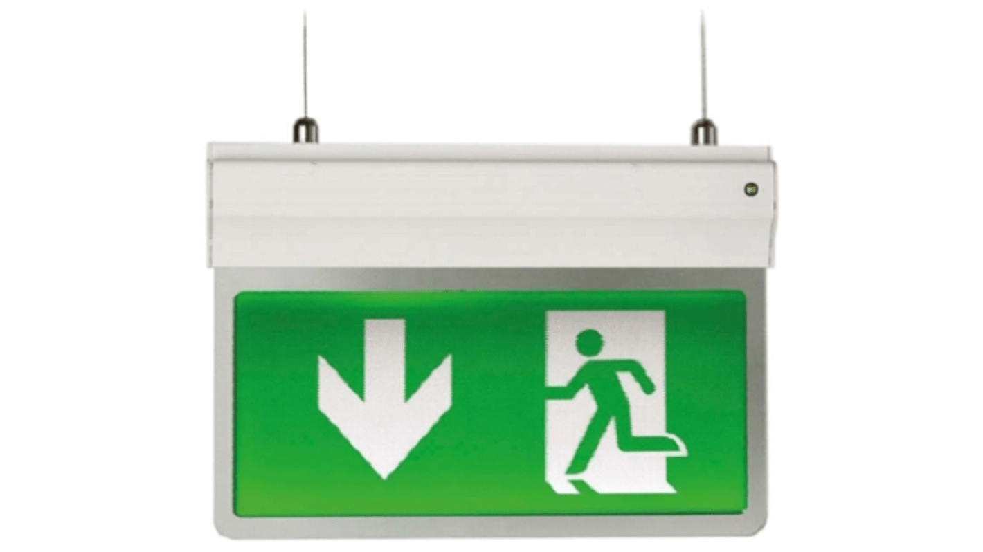 4lite UK LED Emergency Lighting, Ansell Watchman