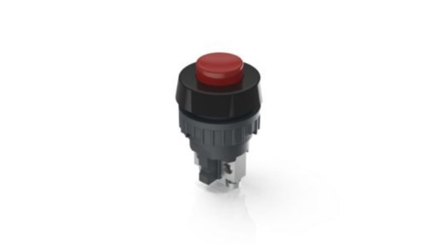 RAFI 1.1 Series Push Button, Momentary, Panel Mount, 19mm Cutout, SPST, 250V, IP40, IP65