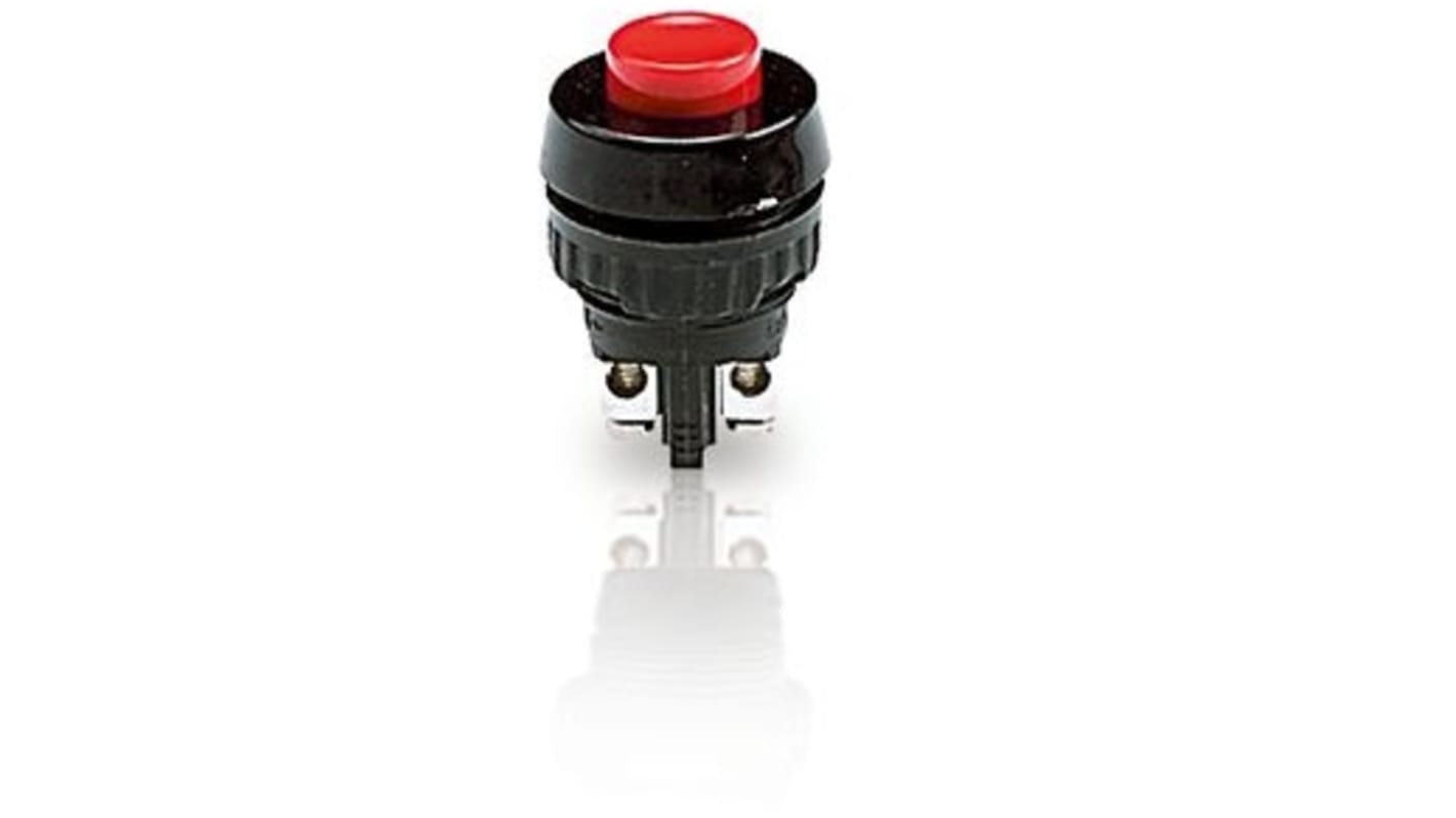 RAFI 1.1 Series Push Button, Momentary, Panel Mount, 19mm Cutout, SPST, 250V, IP40, IP65