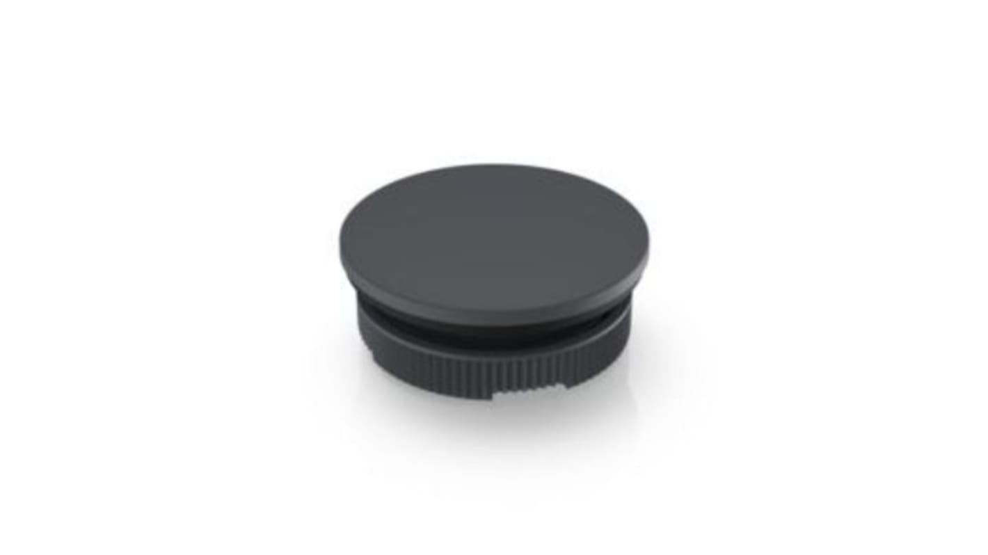 RAFI Grey Push Button Cap for Use with RAFIX 22 FS+, 22.3mm