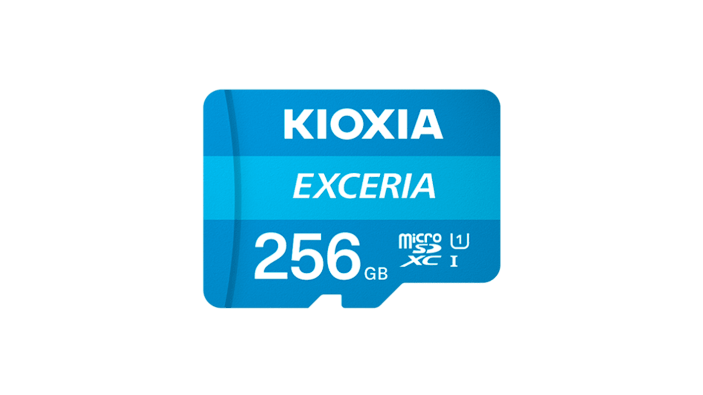 LMEX1L256GG2 256 GB MicroSDXC Micro SD Card, UHSI Class 10 RS