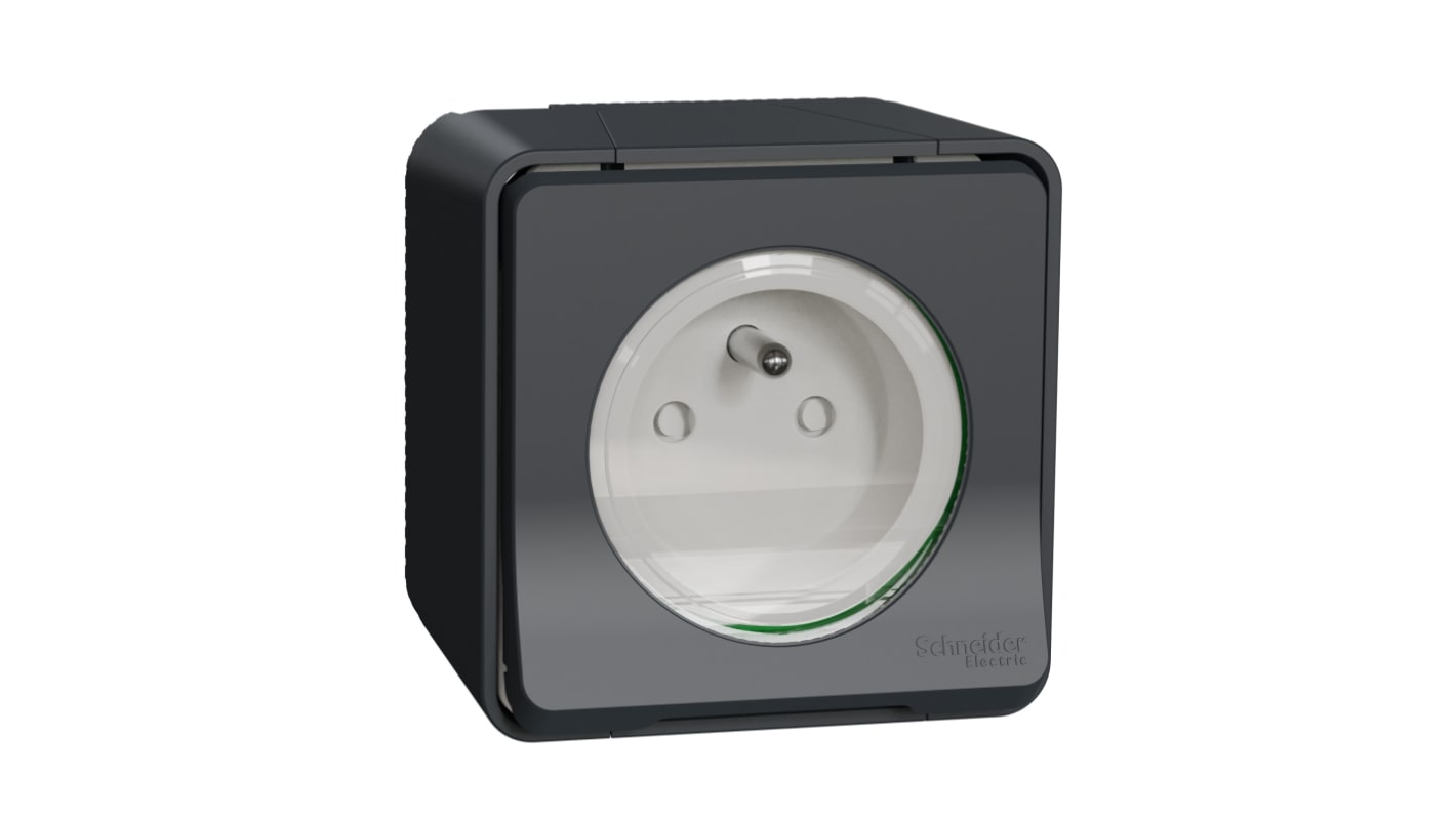 Schneider Electric Grey 1 Gang Plug Socket, 2 Poles, 16A, French 2P, Indoor, Outdoor Use