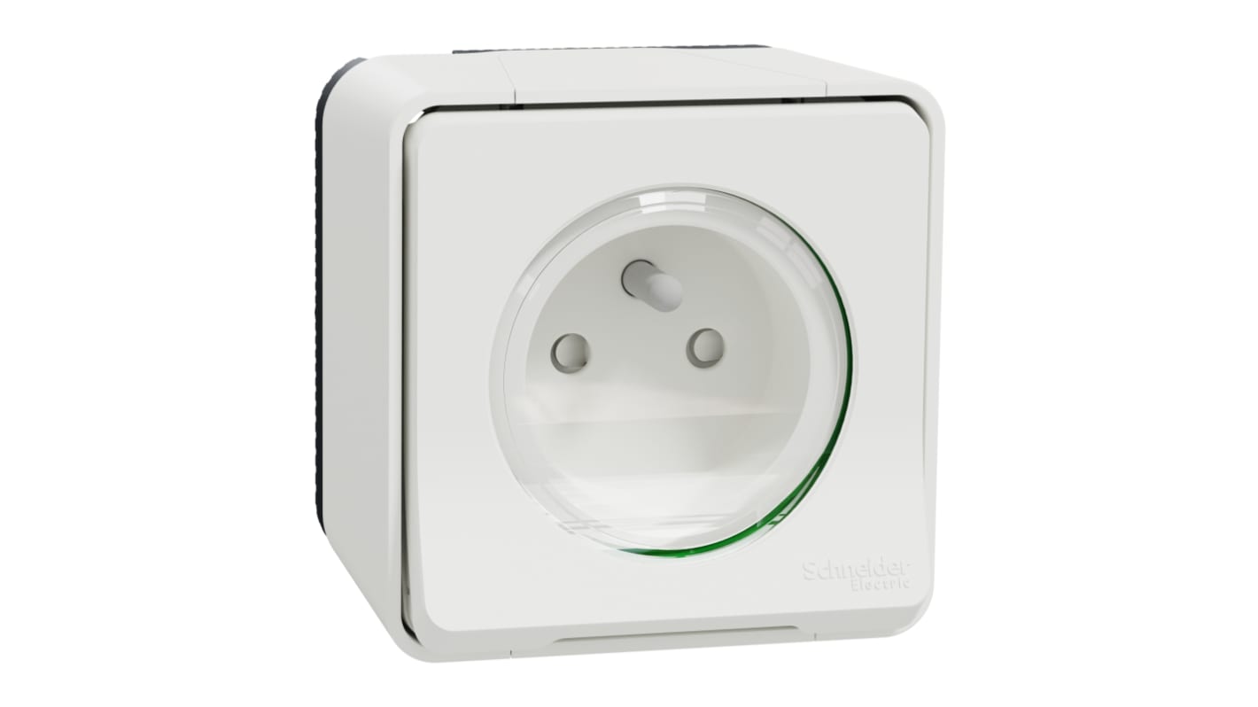 Schneider Electric White 1 Gang Plug Socket, 2 Poles, 16A, French 2P, Indoor, Outdoor Use