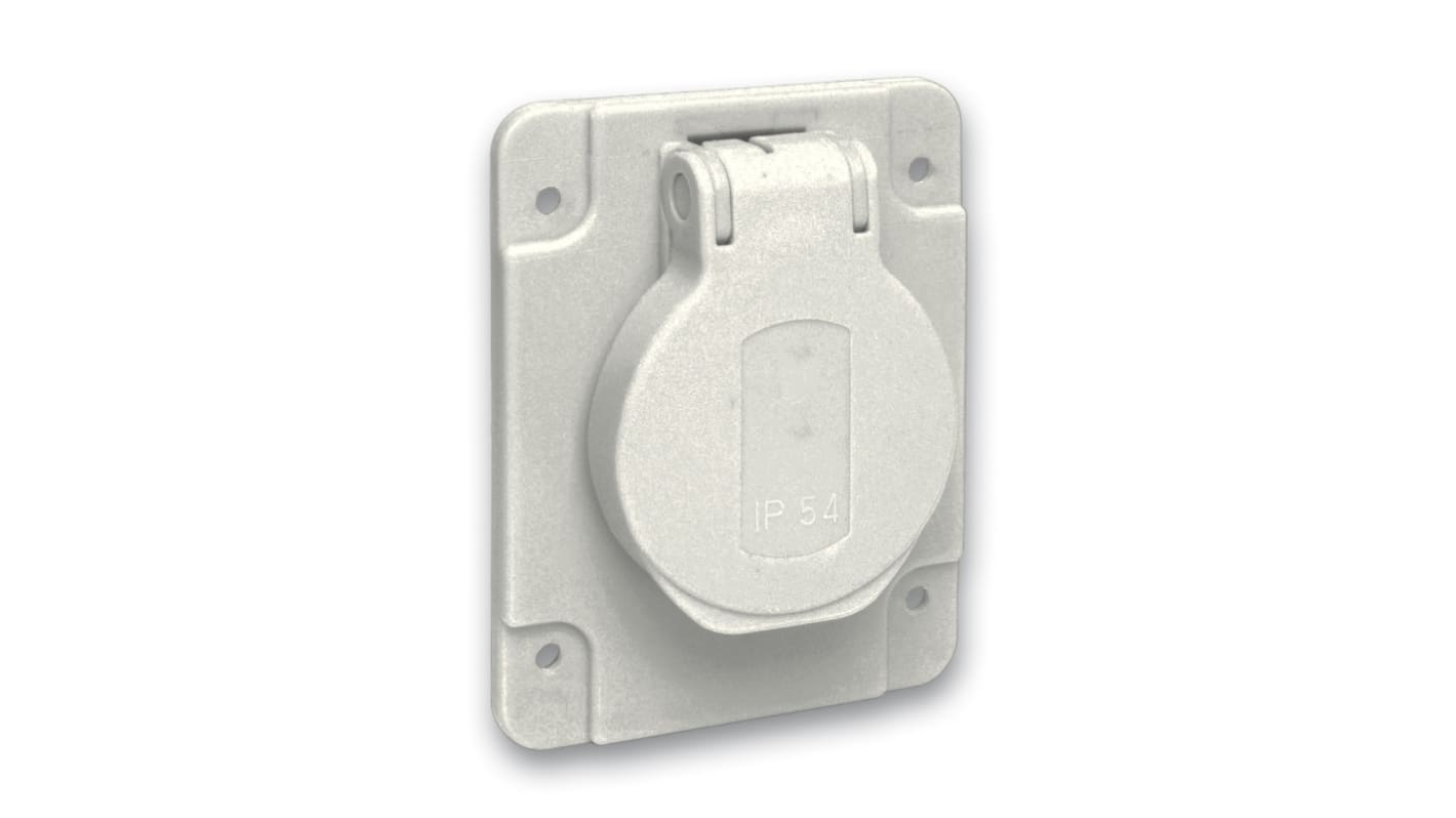 Schneider Electric Grey Plug Socket, 2 Poles, 10 A, 16 A, French 2P