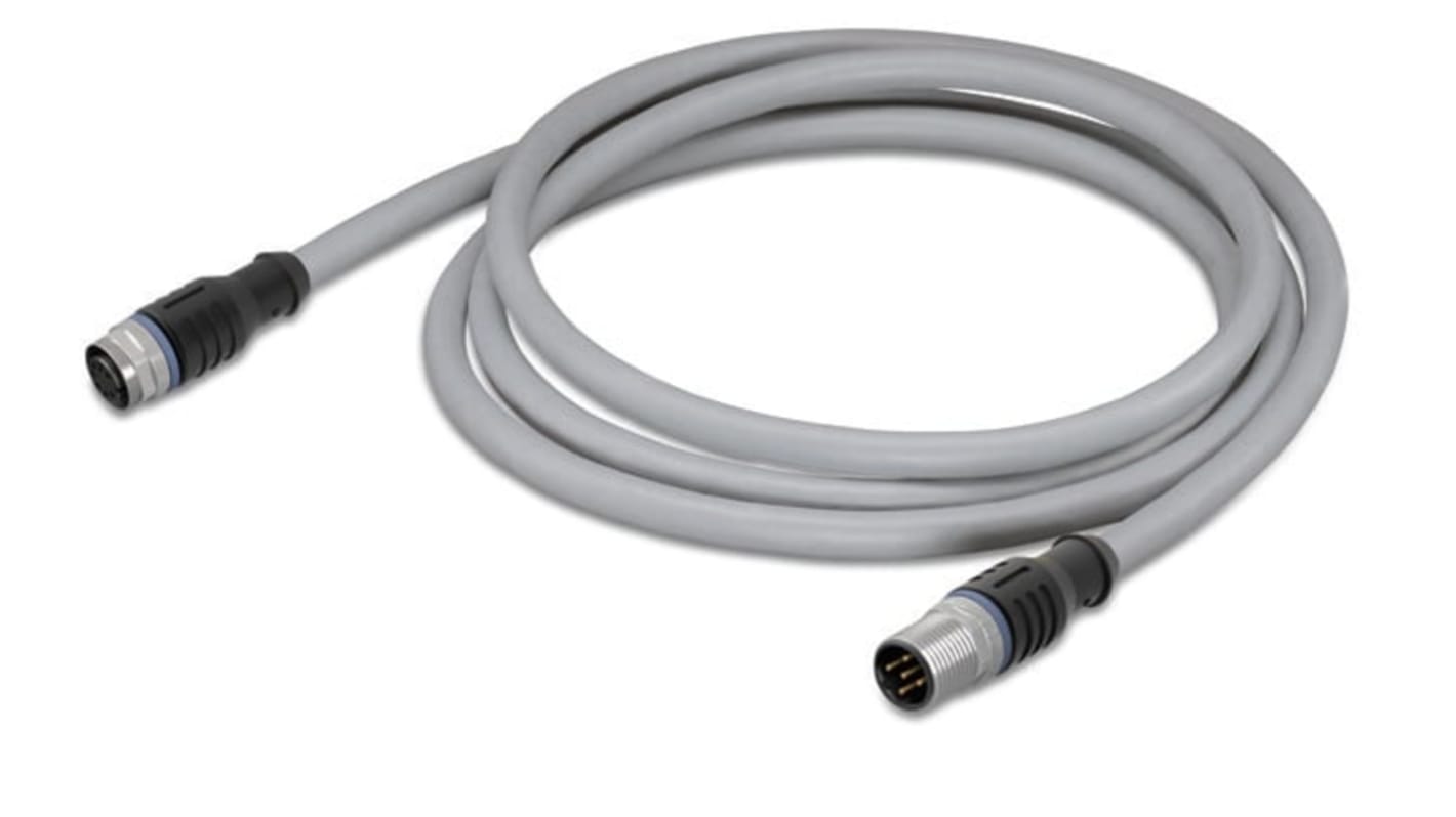 Cable de alimentación Potencia Wago de 4 núcleos, 4 x 0,75 mm², long. 200mm, 250 V AC / DC / 4 A, Gris