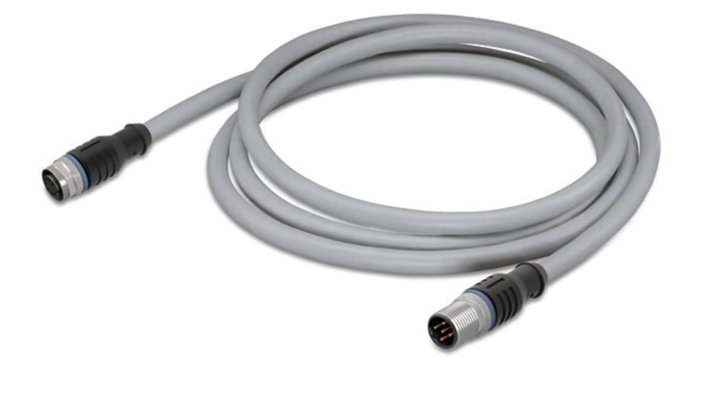 Cable de alimentación Potencia Wago de 4 núcleos, 4 x 0,75 mm², long. 500mm, 250 V AC / DC / 4 A, Gris