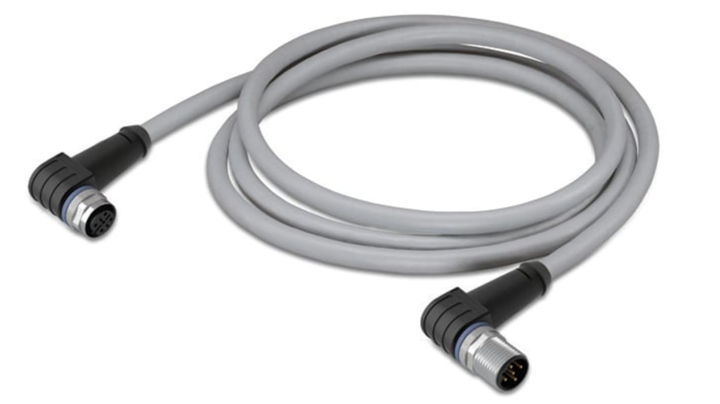 Cable de alimentación Potencia Wago de 4 núcleos, 4 x 0,75 mm², long. 200mm, 250 V AC / DC / 4 A, Gris