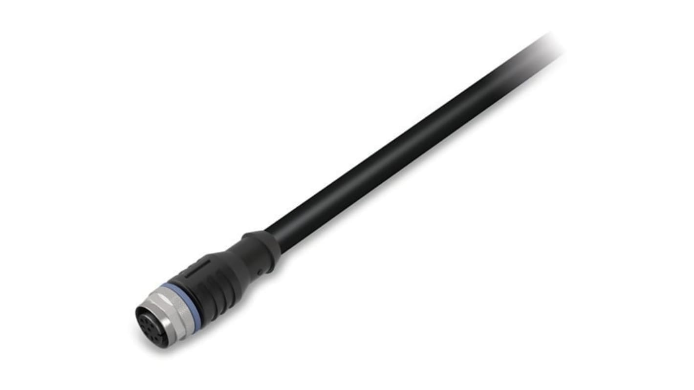 Cable para sensor/actuador Wago, con. A M12 Hembra, 3 polos, con. B Sin terminación, long. 1.5m