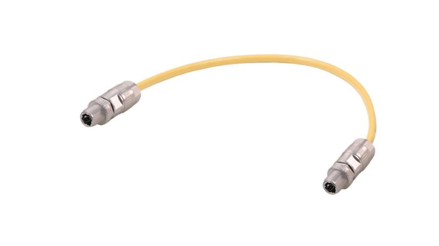 HARTING Straight Male 2 way M12 to Straight Male 2 way M12 Cable, 200mm