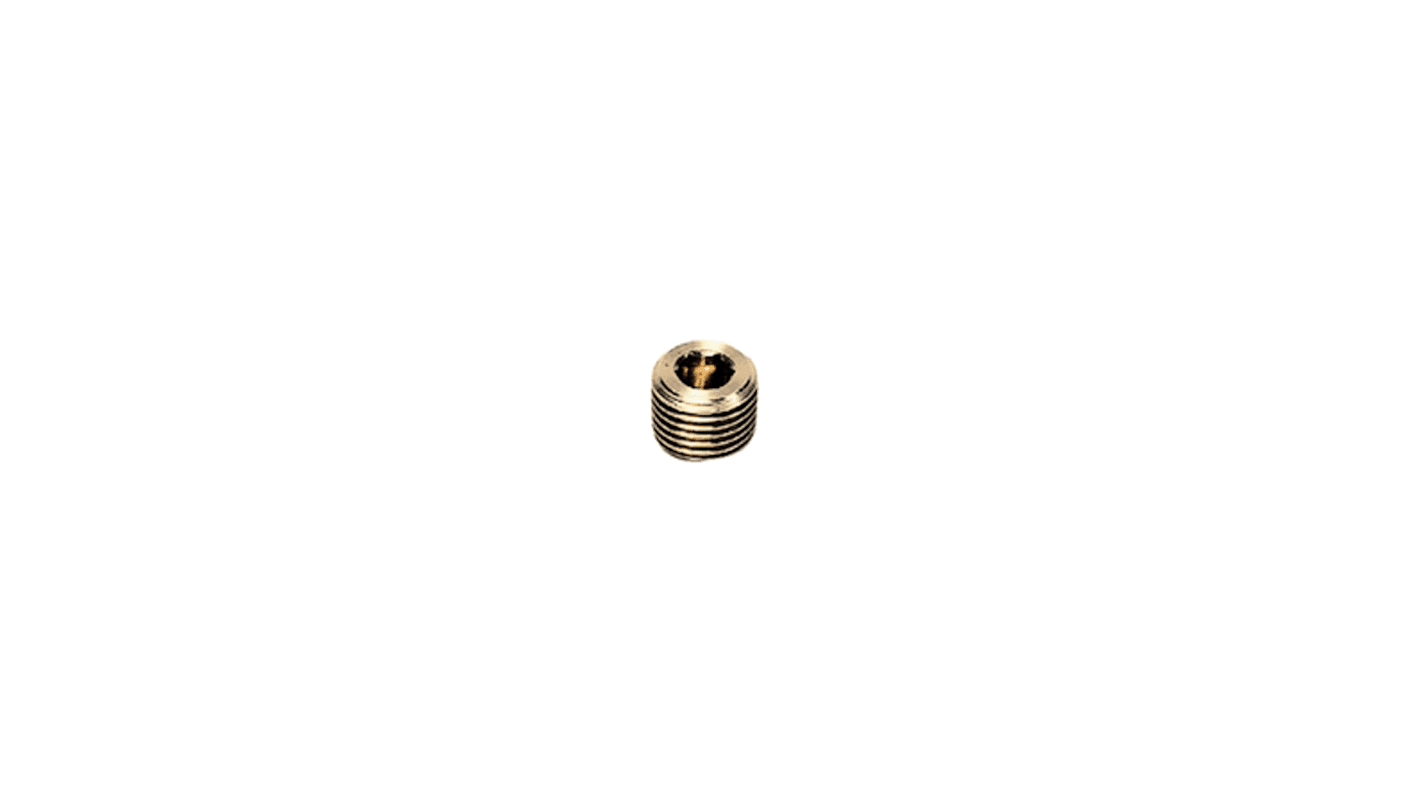 Legris NPT 1/8 Male Brass Tubing Plug