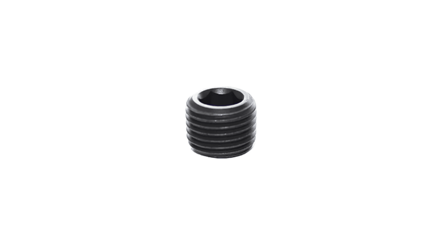 Legris R 1/8 Steel Tubing Plug