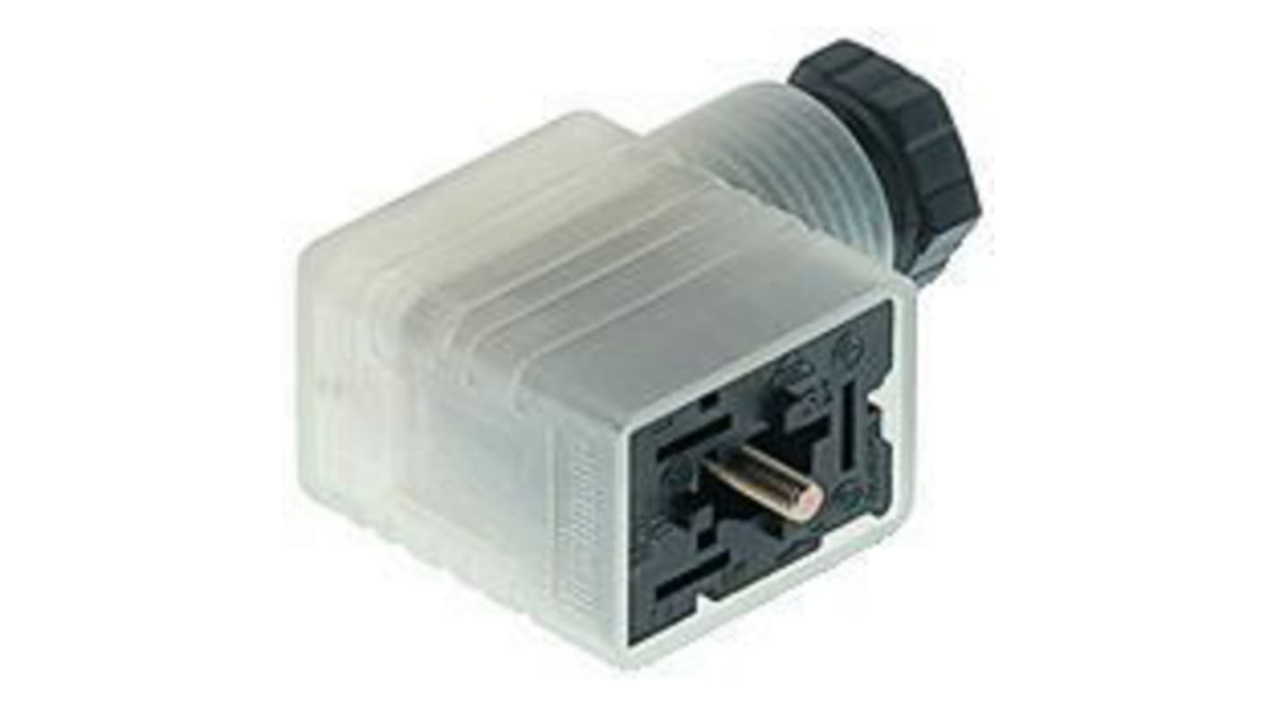 Hirschmann, GML IP65 Black Screw 2+1PE Angled Industrial Power Socket, Rated At 10A, 24 V ac/dc