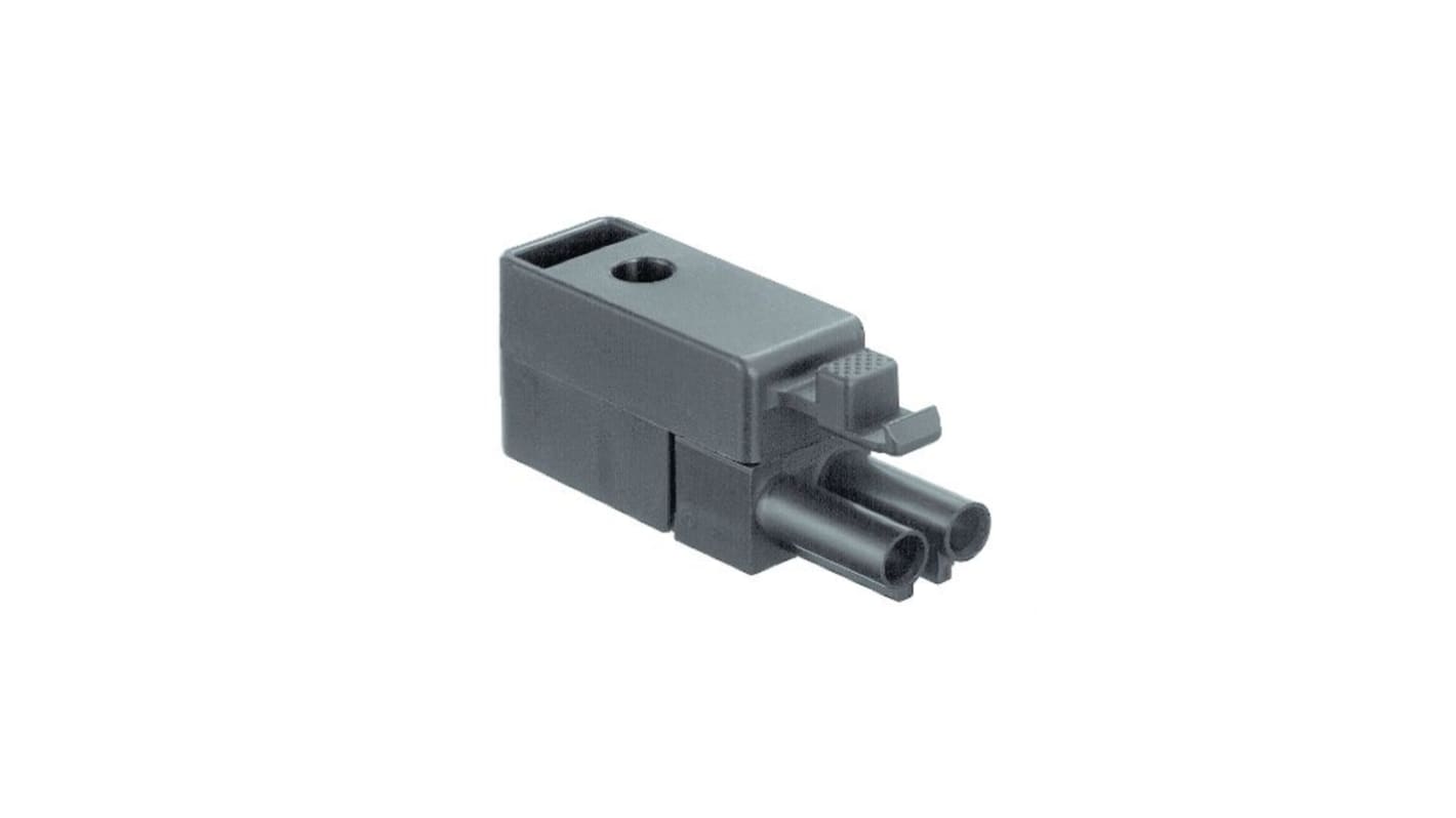 Wieland Automotive Connector Plug, Crimp Termination