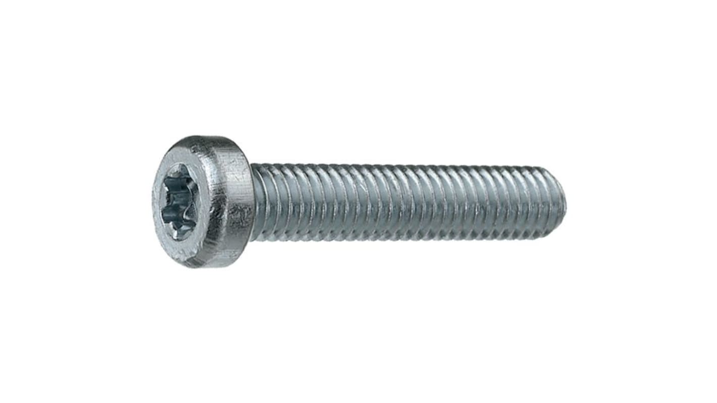 Bossard Torx  Cheese Head A2 304 Stainless Steel Machine Screw ISO 14580, M2.5x4mmx0.15748in