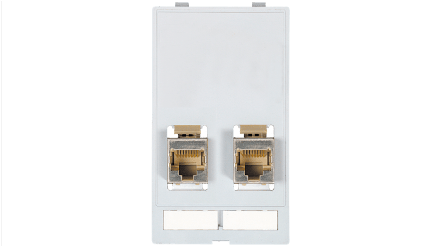 MODLINK MSDD DATA INSERT: 2Ã—RJ45