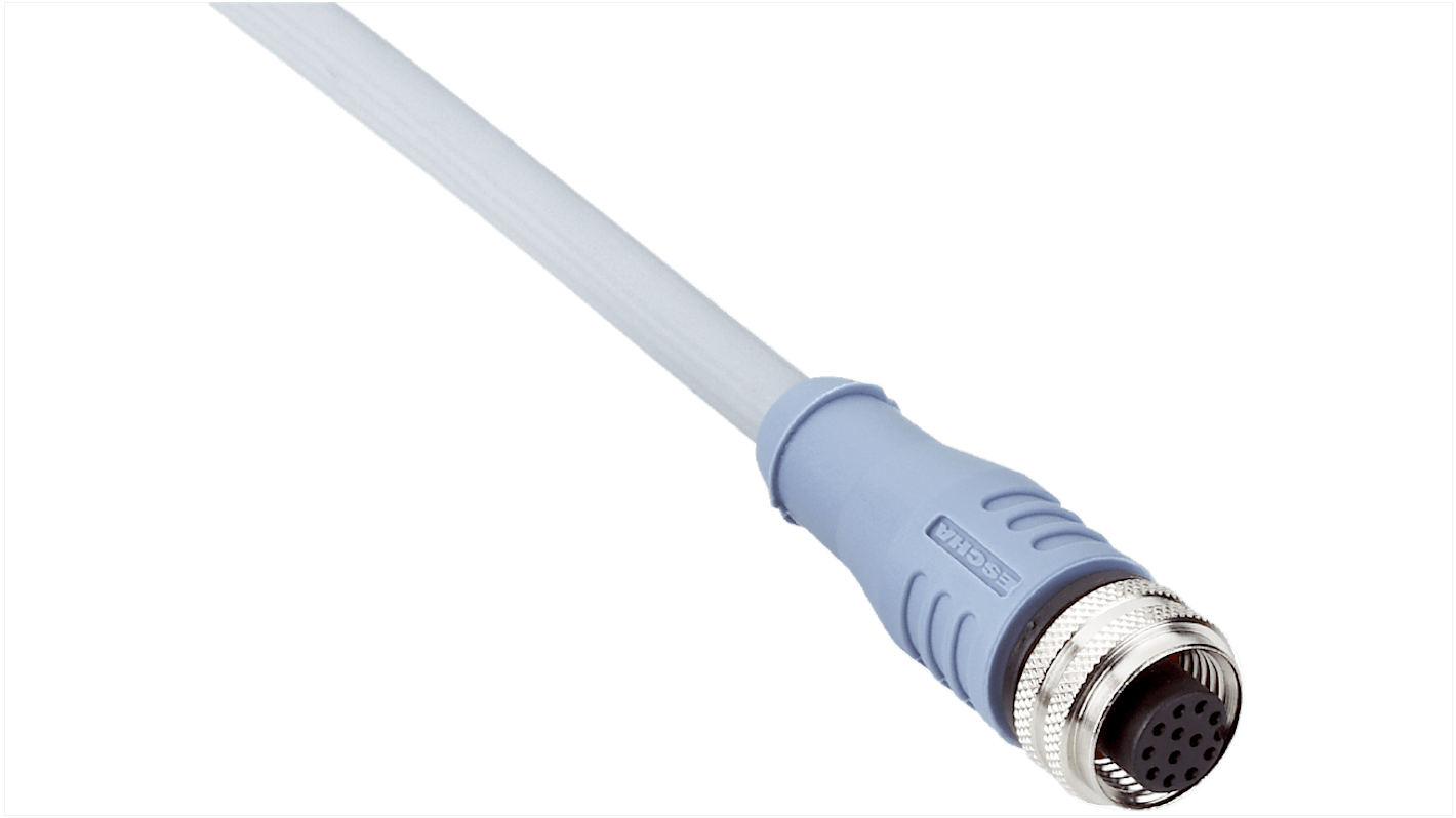 Sick Straight Female 12 way M12 to Unterminated Connector & Cable, 2m