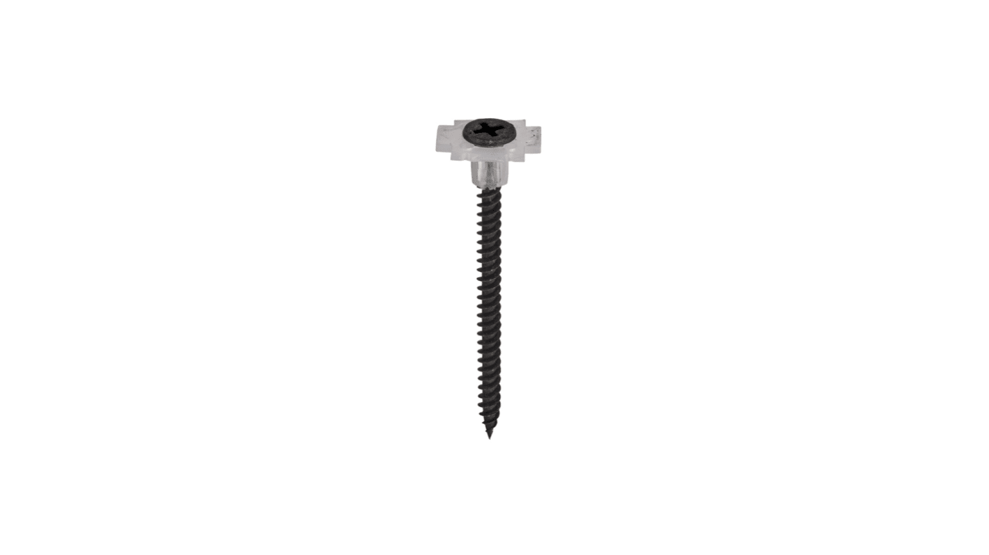 Black Bugle Head Self Tapping Screw