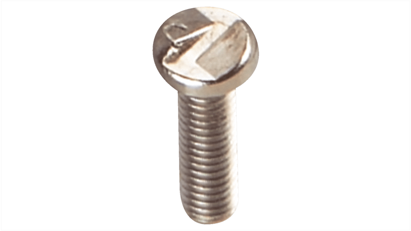 Safety Screw Safety screws M4 x 20