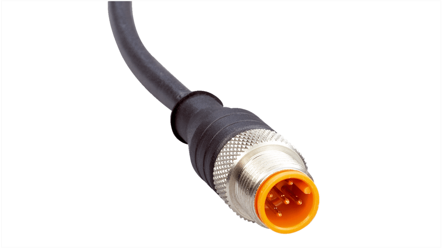 Sick 60261 Kabel / M12 Stecker, 2m, Schwarz