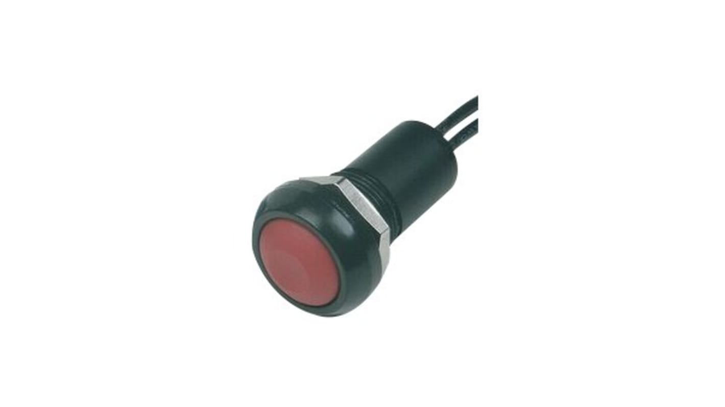 IP Series Series Push Button Switch, Panel Mount