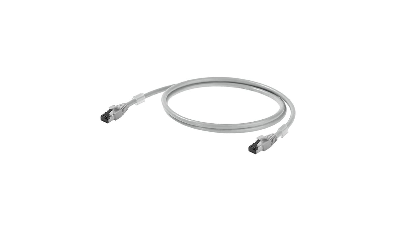 Weidmüller Cat6a Straight Male RJ45 to Straight Male RJ45 Patch Cable, Copper Braid, Grey LSZH Sheath, 200mm