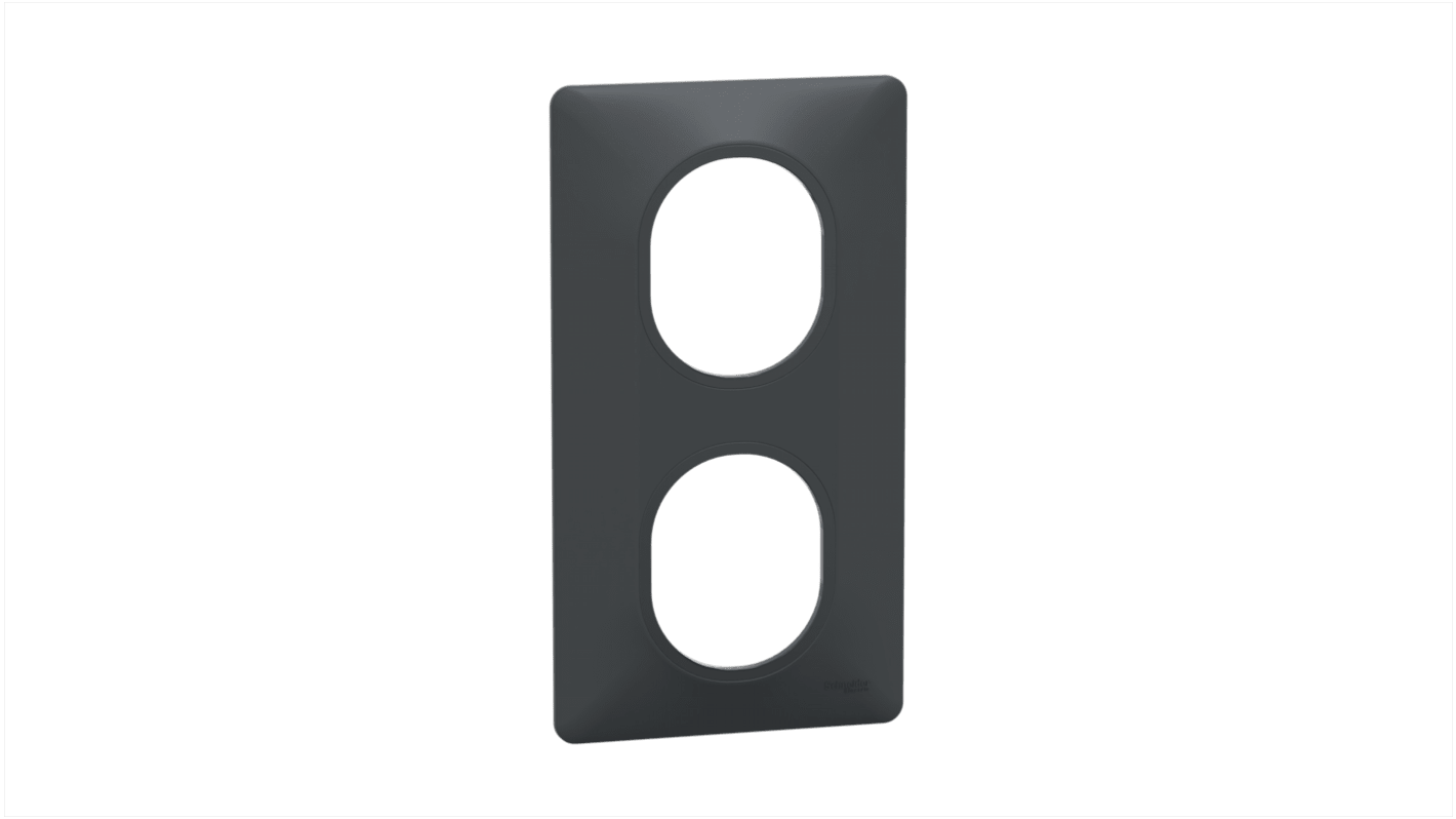 Schneider Electric Anthracite, 2 Gang, Ovalis C Series