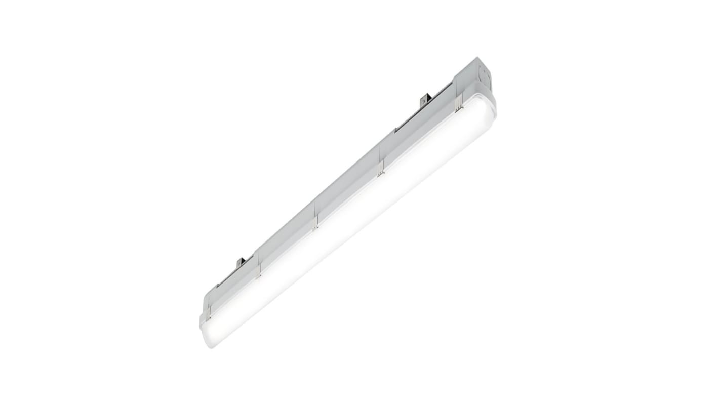 36 W LED Ceiling Light, 220-240 V LED Luminaire, 1.2 m Long, IP66