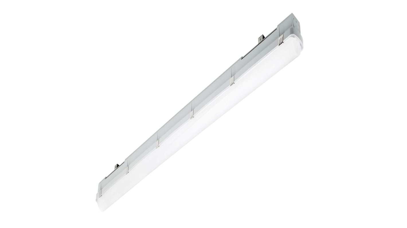 30 W LED Ceiling Light, 220-240 LED Luminaire, 1 Lamp, 1.5 m Long, IP66