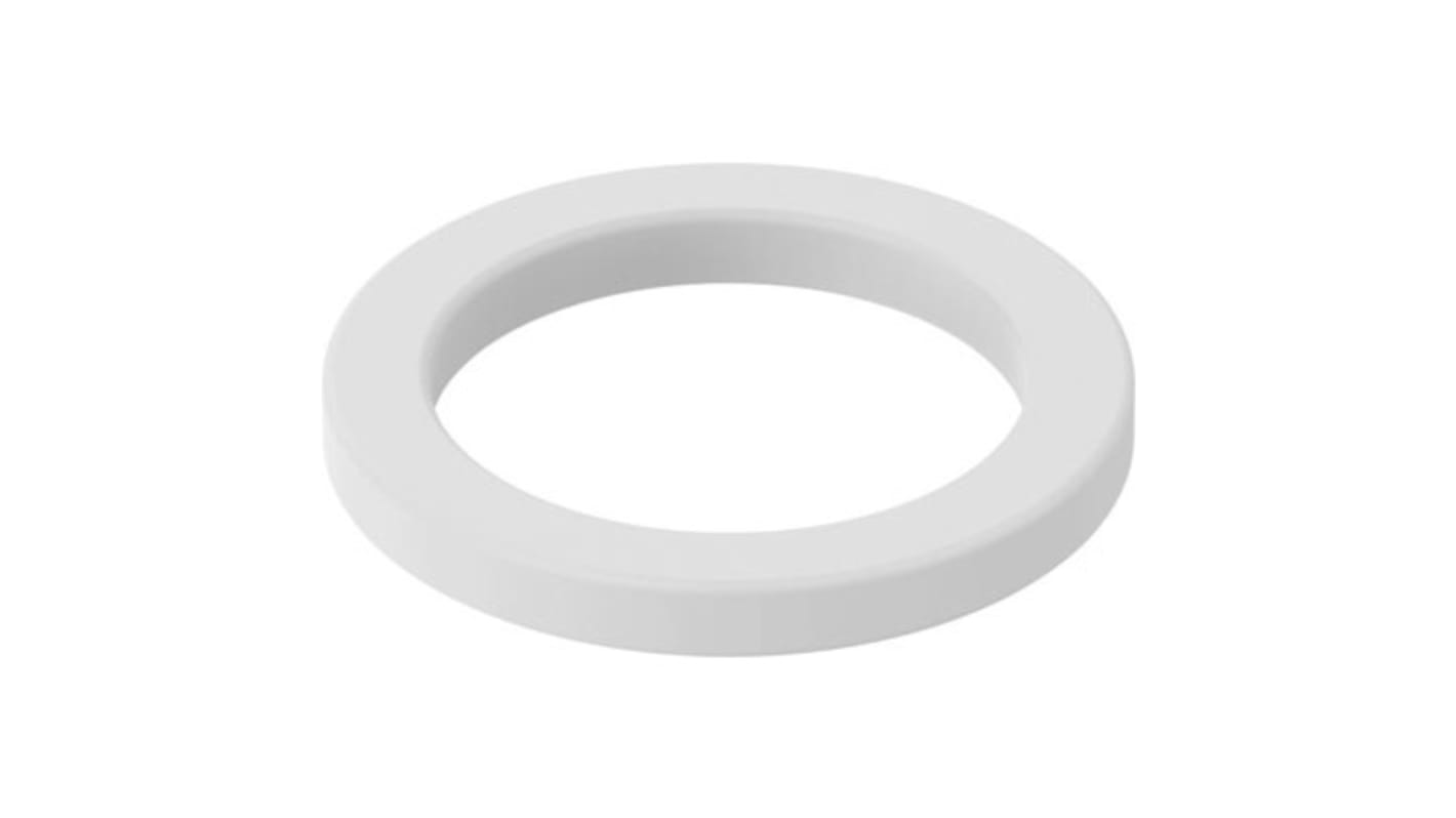 Sealing Ring PVDF