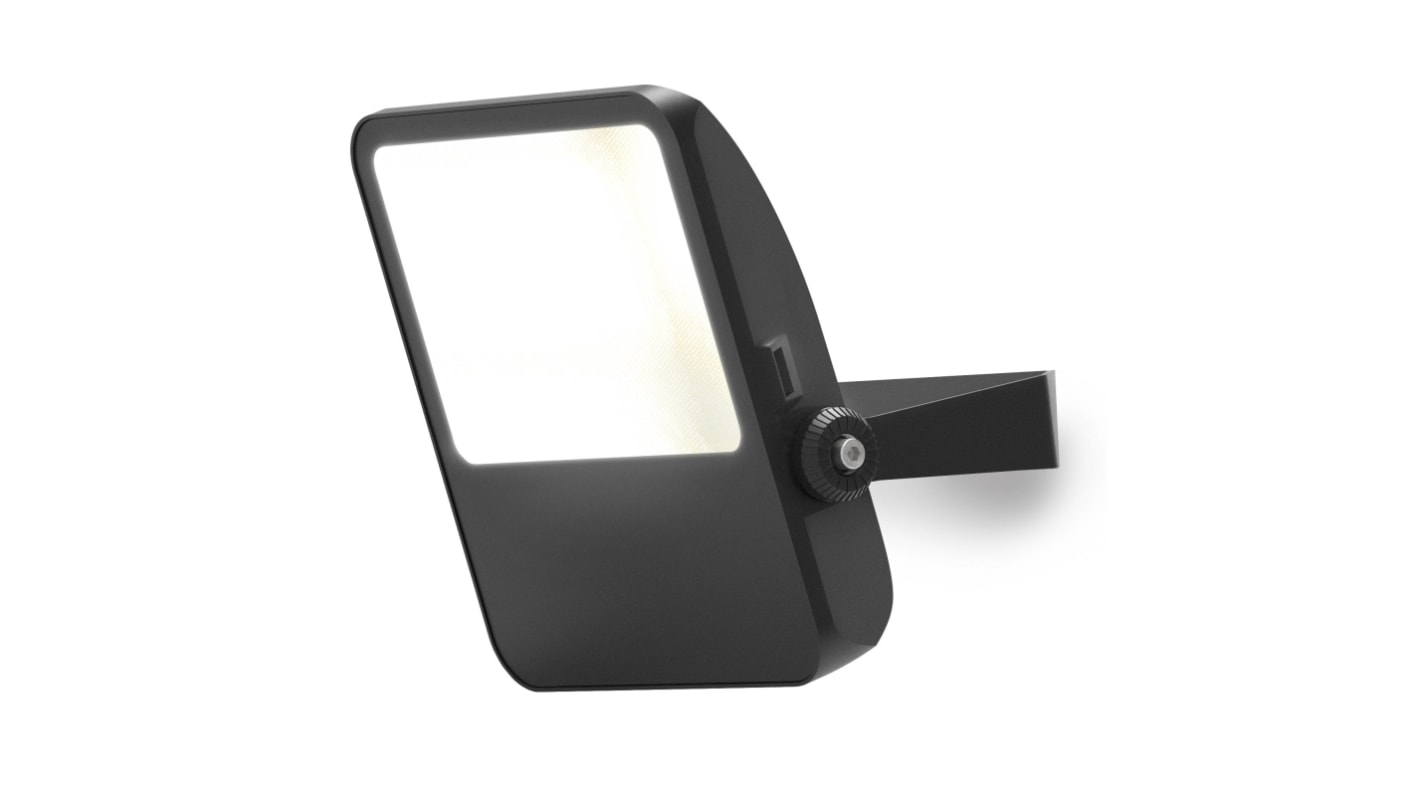 Ansell 4L2 Floodlight, 100 W, 1150 lm, IP65, 220 → 240 V