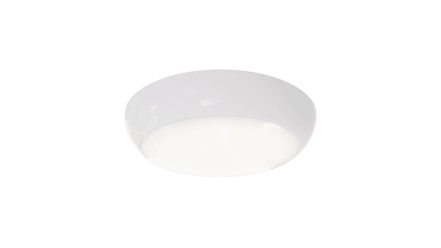 Plafoniera da esterno Ansell LED, 8 W, 220/240 V, IP65, Sì