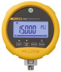 Product image for Pressure gauge, Reference,5000 PSIG
