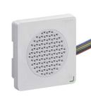 Product image for White Voice Alarm, DIN72, NPN, 24Vdc