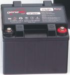 Product image for Enersys RSAMP3727 Lead Acid Battery - 12V, 16Ah