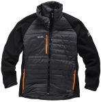 Product image for SCRUFFS EXPEDITION THERMO SOFTSHELL XL