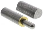 Product image for BRASS WASHER WELDED STEEL HINGE,100X42MM