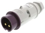 Product image for 2P GLANDED ENTRY FREE PLUG,16A 20-25V