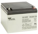 Product image for YUCELL LEAD BATTERY 24A 12V