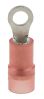 Product image for Red M3 insul ring terminal,0.5-1.5sq.mm