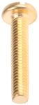 Product image for Brass slotted pan head screw,M6x30mm