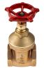 Product image for Bronze gate valve,PN20,2in BSPT