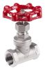 Product image for S/steel AISI globe valve,3/4in BSP F-F