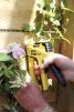 Product image for STANLEY 4IN1 LIGHT DUTY STAPLER NAILER