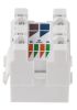 Product image for WALLPLATE KIT CAT 6 UTP 1 PORT 1 GANG