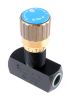 Product image for G1/4 BSP flow control and shut-off valve