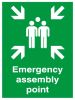 Product image for PP sign 'Assembly point', 594x420mm