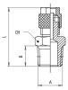 Product image for BSPT STRAIGHT MALE CONNECTOR 10/8-3/8